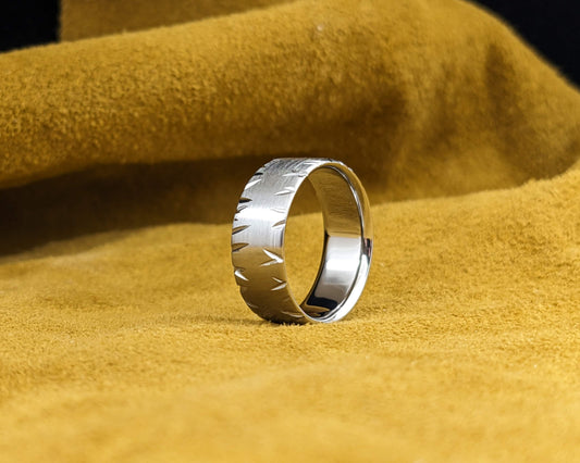 Brushed Double Shard Titanium Ring
